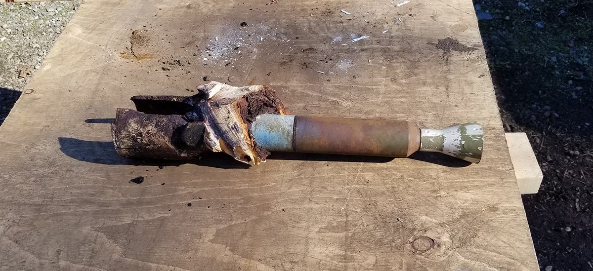 Example of a rocket after removal from a tree.